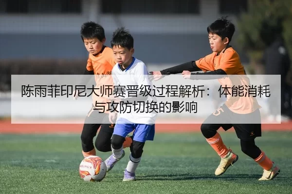 chen-yu-fei-yin-ni-da-shi-sai-jin-ji-guo-cheng-jie-xi-ti-neng-xiao-hao-yu-gong-fang-qie-huan-de-ying-xiang-2-509.jpg